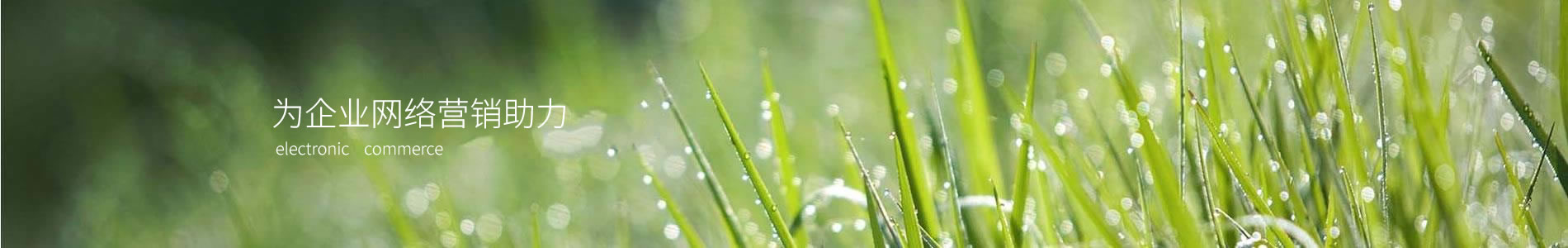 人ظó޹˾